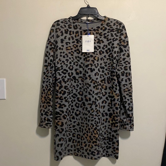 Zara Dresses Zara Cheetah Dress Poshmark